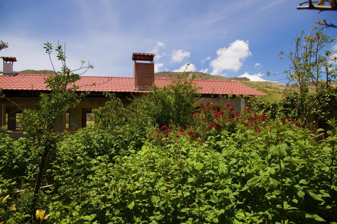 Hostal Vientos Del Altiplano Putre Bagian luar foto