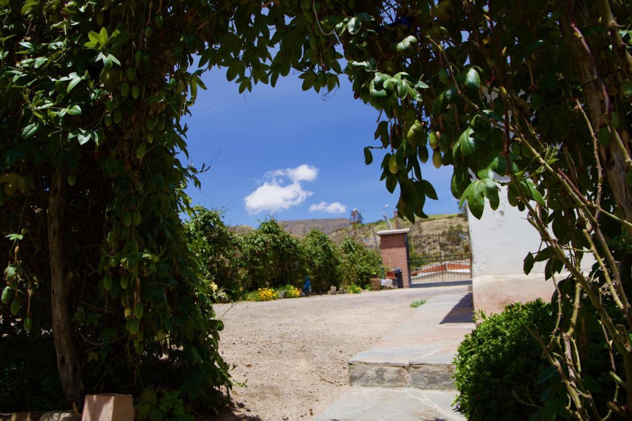 Hostal Vientos Del Altiplano Putre Bagian luar foto