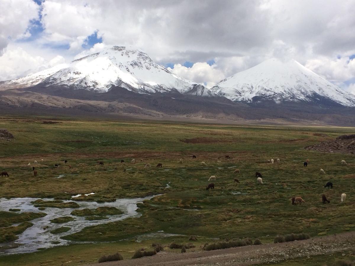 Hostal Vientos Del Altiplano Putre Bagian luar foto